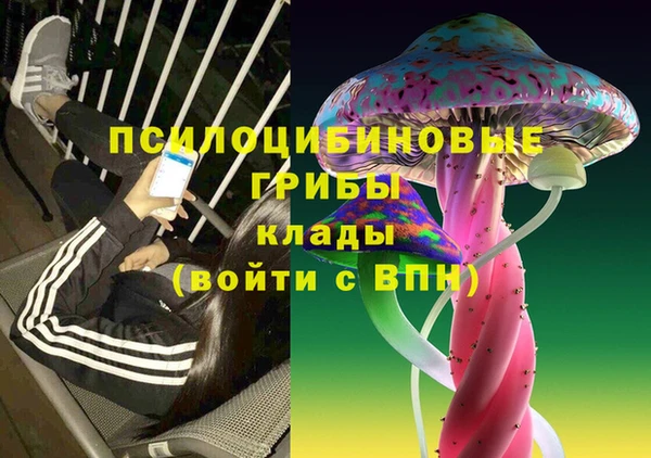 дживик Нязепетровск