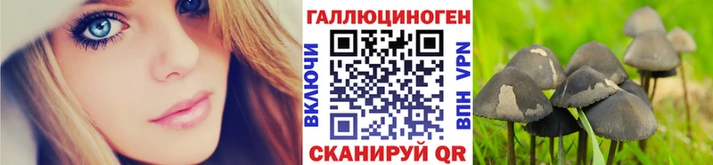 как найти наркотики  ссылка на мегу как войти  Псилоцибиновые грибы Cubensis  Корсаков 